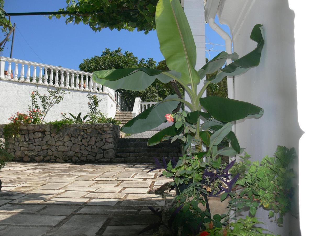 Villa Quietude Agios Stefanos Avliotes  Rum bild